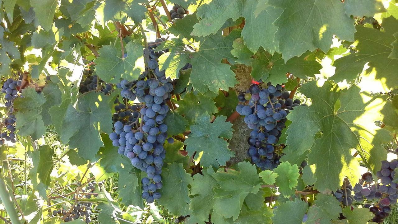 Agriturismo Le Giarine Fogliano Redipúglia Kültér fotó