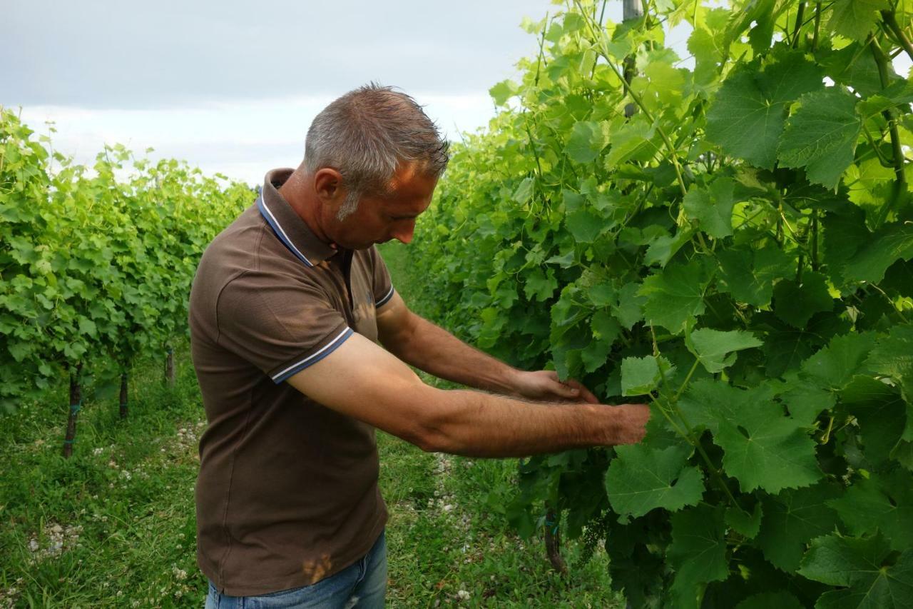 Agriturismo Le Giarine Fogliano Redipúglia Kültér fotó