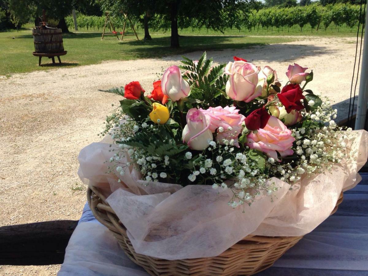 Agriturismo Le Giarine Fogliano Redipúglia Kültér fotó